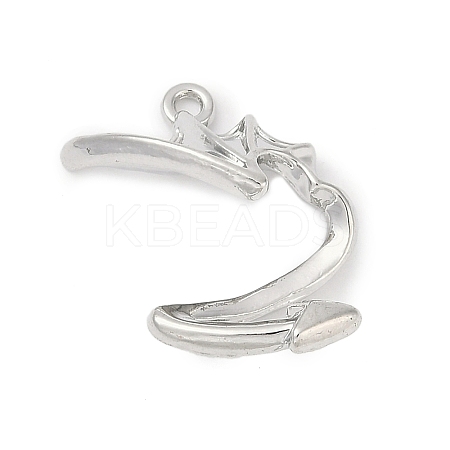 Alloy Pendants PALLOY-R151-14P-1
