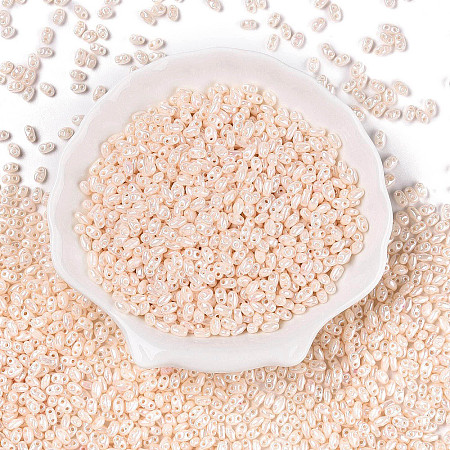 Opaque Colours Luster Glass Seed Beads SEED-T006-02H-1