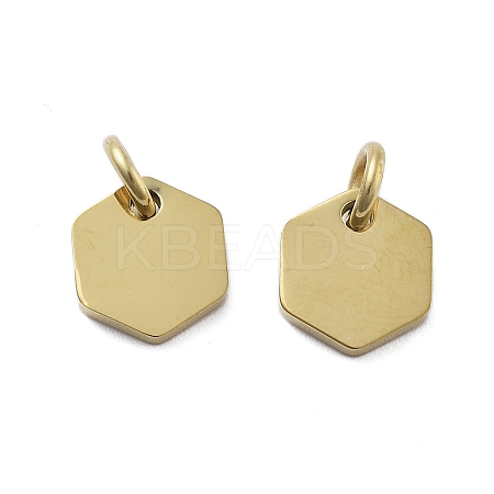 Geometric Figure Style 304 Stainless Steel Stamping Blank Tag Charms STAS-D302-03E-1