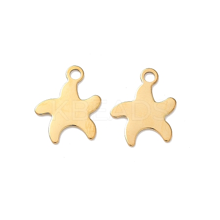 304 Stainless Steel Charms STAS-Z184-14G-01-1