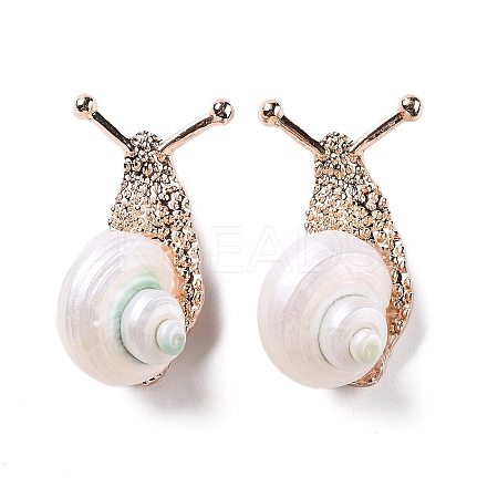 Snail White Natural Conch Shell Fossil Brooch Pin JEWB-A020-02G-01-1