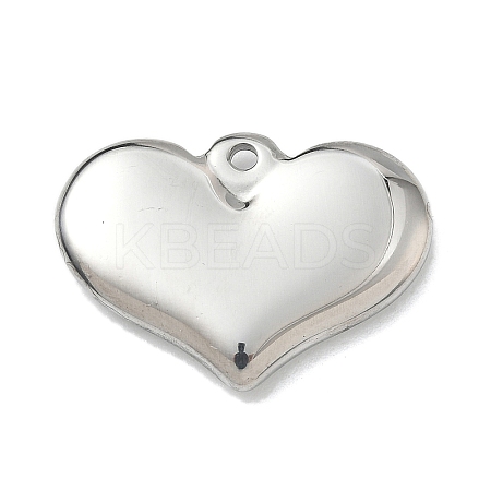 304 Stainless Steel Pendants STAS-G361-06P-1