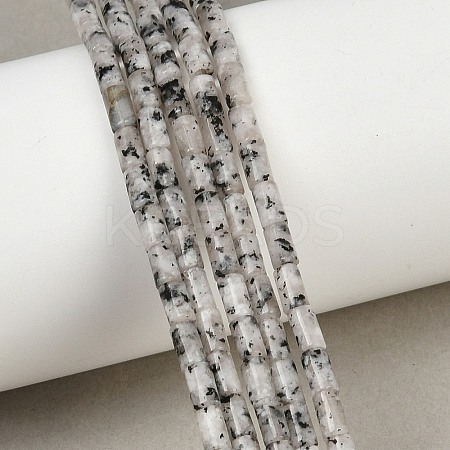 Natural Seame Jasper Beads Strands G-P600-B11-01-1