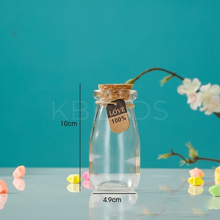 Glass Empty Wishing Bottle LS-BOTT-PW0003-004E-1