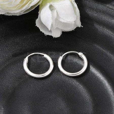Brass Hoop Earrings EJEW-G474-01S-01-1