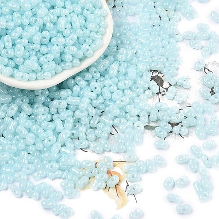 Baking Paint Glass Seed Beads SEED-L011-09A-08-1