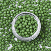 Opaque Colours Glass Beads SEED-S040-01A-06-2