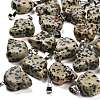 Natural Dalmatian Jasper Pendants G-Z067-02P-06-1