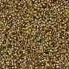 TOHO Round Seed Beads X-SEED-TR15-0747-2