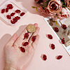 22Pcs Transparent Resin Pendants RESI-ME0001-14-4