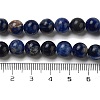 Natural South Africa Sodalite Beads Strands G-S259-35-12mm-01-8