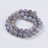 Natural Striped Agate/Banded Agate Beads Strands G-G581-10mm-09-2