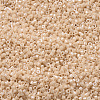 MIYUKI Delica Beads SEED-X0054-DB0205-3