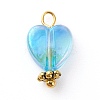 Eco-Friendly Transparent Acrylic Charms PALLOY-JF00749-02-4