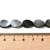 Natural Black Lip Shell Beads Strands BSHE-D300-04A-4