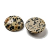 Natural Dalmatian Jasper Cabochons G-C115-02A-21-2