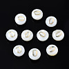 Natural Freshwater Shell Beads SHEL-N003-20-00-1