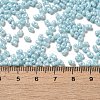 Glass Seed Beads SEED-K009-02A-02-4
