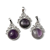 Natural Amethyst Pendants G-P498-01P-05-1