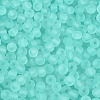 FGB Frosted Transparent Glass Seed Beads SEED-N013-02A-10-3