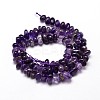 Natural Amethyst Chip Beads Strands X-G-E271-123-2