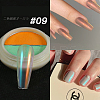 Solid State Two-Tone Color Nail Art Powder MRMJ-T067-12I-2