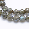 Natural Labradorite Beads Strands X-G-P336-19-8mm-3