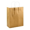 Pure Color Kraft Paper Bags LS-AJEW-G020-D-06-3