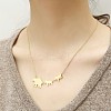 304 Stainless Steel Pendant Necklaces for Women FS-WGD2842-03-1