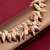 Natural Spiral Shell Beads Strands BSHE-SZ0001-03-4