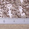 MIYUKI Delica Beads Small SEED-X0054-DBS0037-4