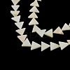Triangle Natural Sea Shell Beads Strands X-SSHEL-F290-11-1