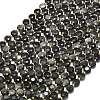 Natural Silver Obsidian Beads Strands G-C116-A55-02-2