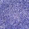 Baking Paint Transparent Glass Seed Beads SEED-N006-05H-3