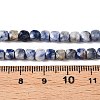 Natural Blue Spot Jasper Beads Strands G-N342-113-5