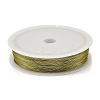 Baking Paint Iron Wire MW-NH0001-05B-1