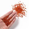(Repacking Service Available) 8/0  Glass Seed Beads SEED-C014-3mm-29B-4