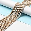 Electroplated Natural Howlite Bead Strands G-D470-01D-4