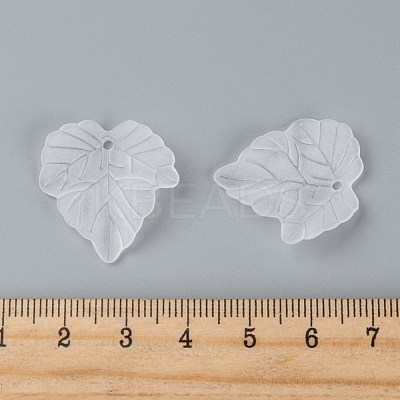Transparent Frosted Acrylic Leaf Pendants X-PAF002Y-14-1