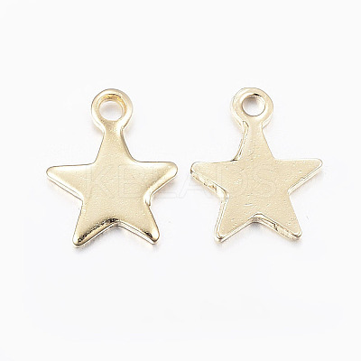 304 Stainless Steel Charms STAS-G179-80G-1