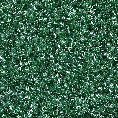 MIYUKI Delica Beads SEED-X0054-DB1889-1