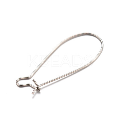 Tarnish Resistant 304 Stainless Steel Hoop Earrings X-STAS-D429-64-1