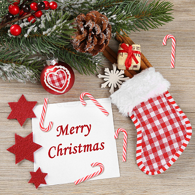 50Pcs Christmas Plastic Cabochons KY-DC0001-19-1