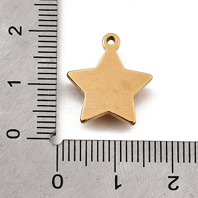 304 Stainless Steel Micro Pave Rhinestone Pendants Charms STAS-K256-28G-01-1