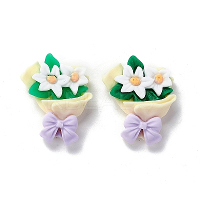Opaque Resin Cabochons LS-RESI-M025-06-1