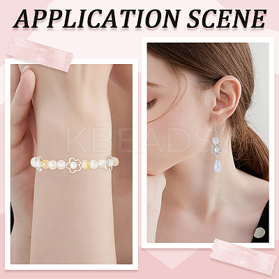 Tibetan Style Alloy Bead Frames FIND-SC0008-71-1