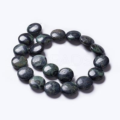 Natural Kambaba Jasper Beads Strands G-K267-03A-1