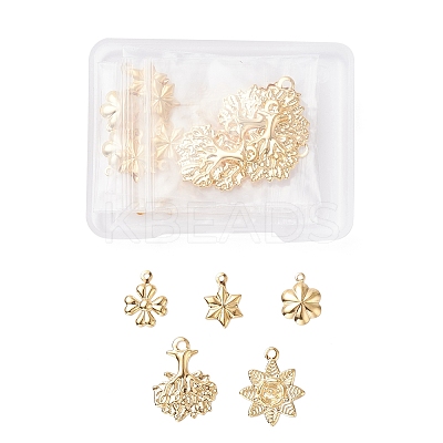40Pcs 5 Style 304 Stainless Steel Pendants STAS-UN0026-38-1