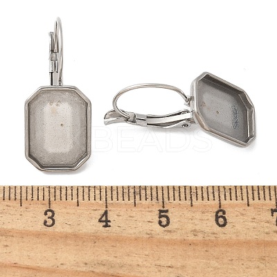 304 Stainless Steel Leverback Earring Finding STAS-C117-12A-P-1