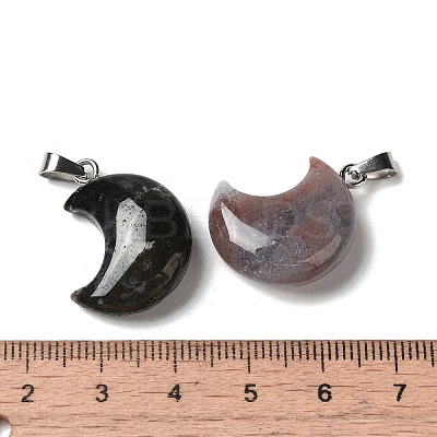 Natural Indian Agate Pendants G-H035-01P-09-1